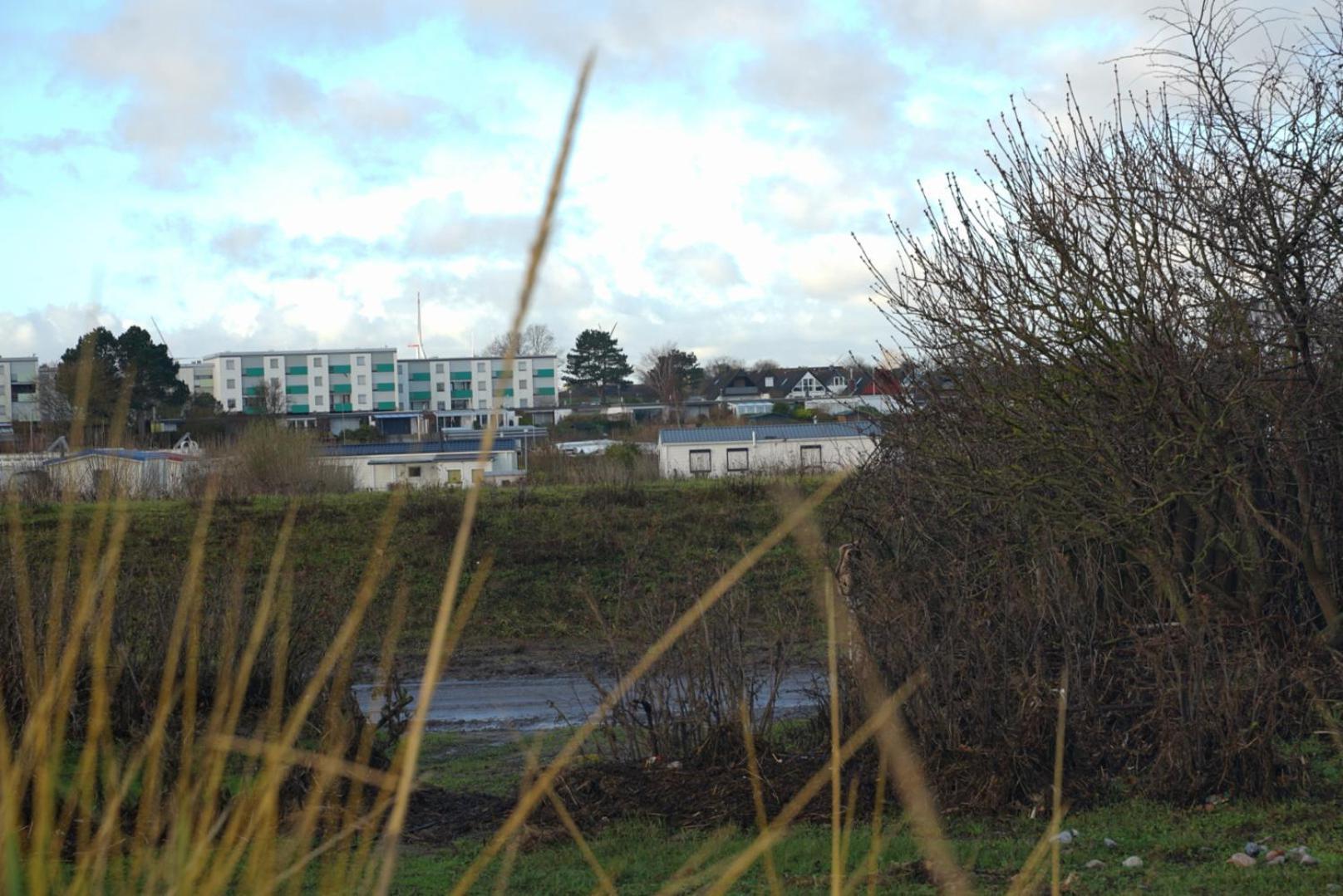 Apartment Mit Meerblick Heringsdorf  外观 照片